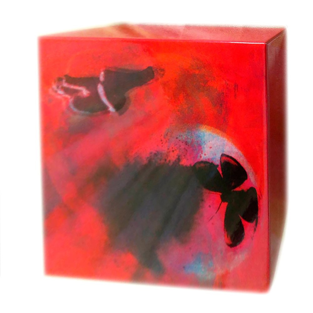 Комплект / Anekdoten (11 Mini LP CD + Box)