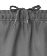 Шорты парадные JÖGEL PREMIER PerFormDRY Woven Shorts, темно-серый
