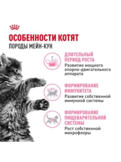 Maine Coon Kitten Корм для котят 2кг