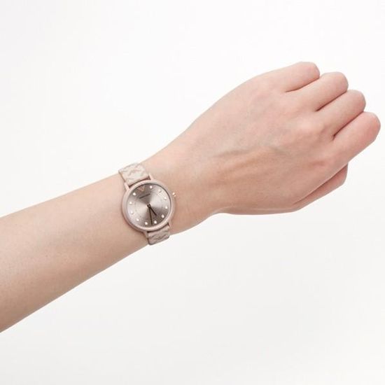 Женские наручные часы Emporio Armani AR11010