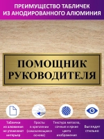 Табличка "Помощник руководителя".
