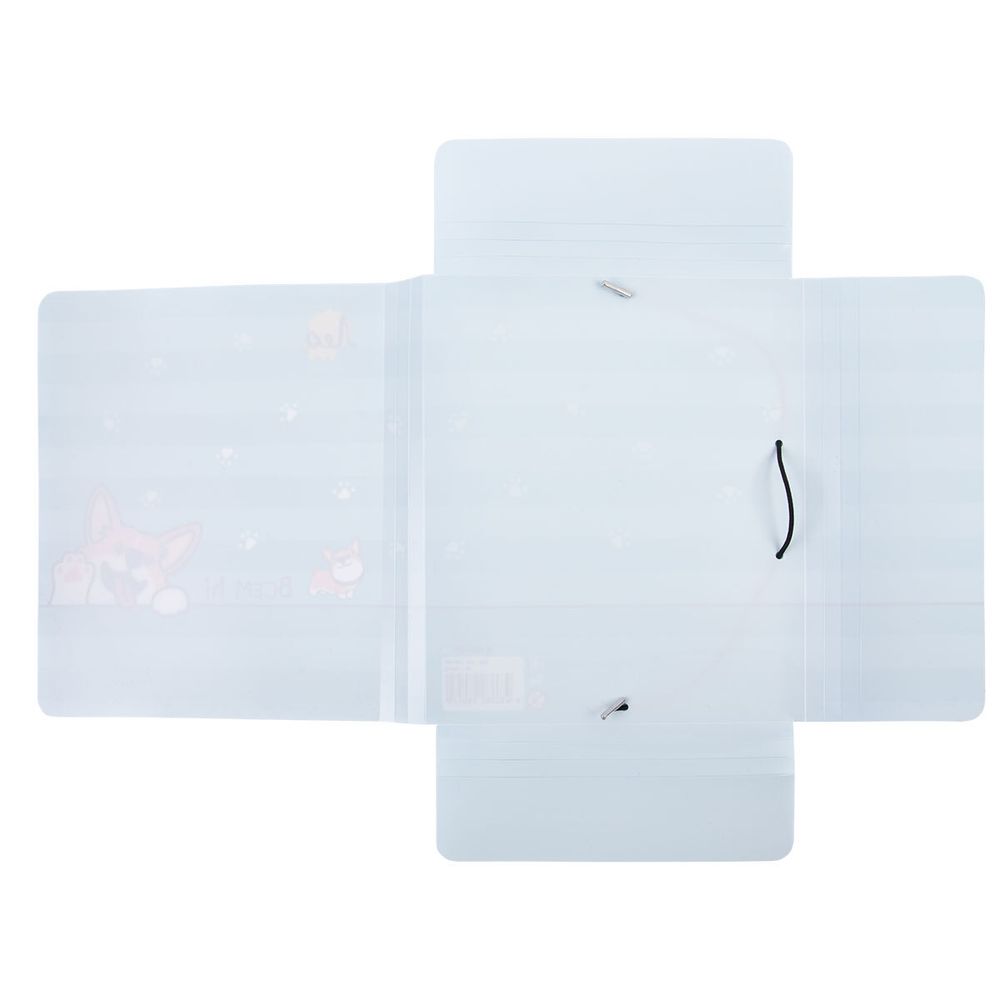 Папка на резинке A5 LRF-07 450 мкм 25 мм, песок, 6 шт, 04-Корги, Лео LRF-07