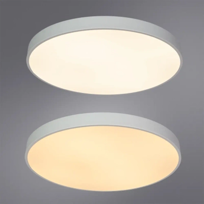 Потолочный светильник Arte Lamp ARENA A2671PL-1WH, 1хLED