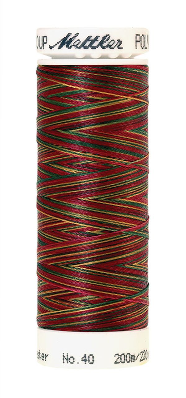 Нить вышивальная Mettler Poly Sheen Multi 40 (200 м), 5 кат. | цв. 9938