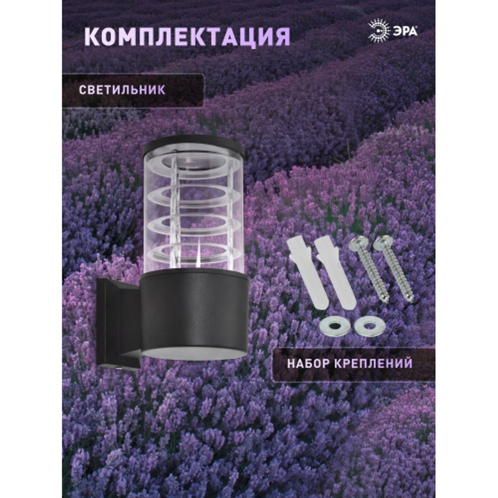 Светильник уличный настенный ЭРА «Асия» GBW-108-BL-0200 230В 1хЕ27 IP54 вверх черный | Садово-парковые светильники