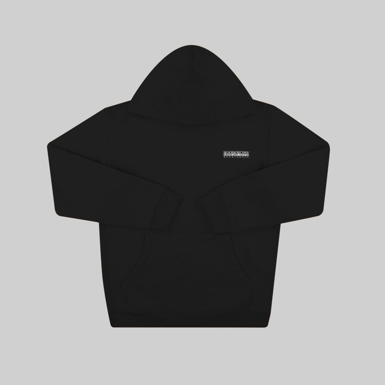Толстовка мужская Napapijri B-Morgex Hoodie артикул:NA4GJ8041 - купить в магазине Дайс