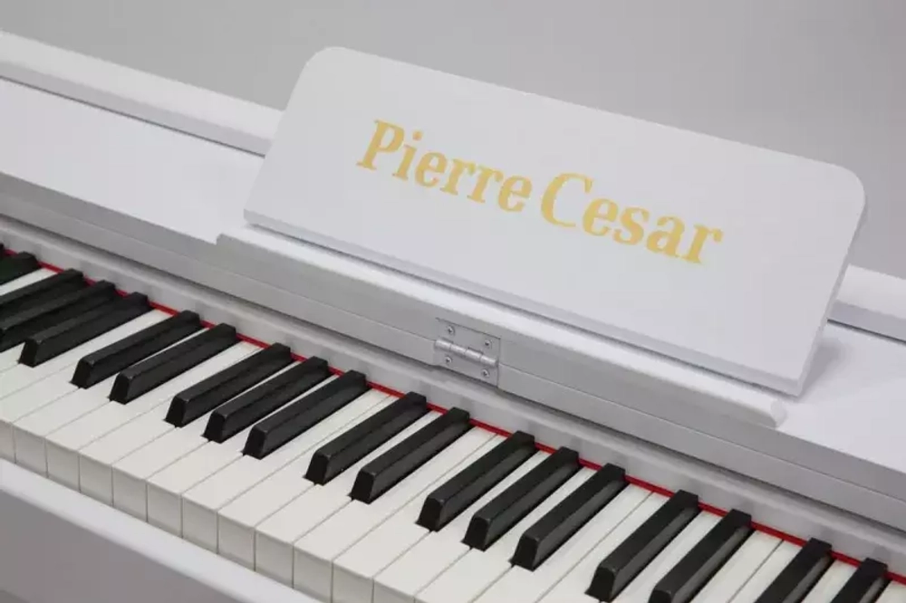 Pierre Cesar DP-12-H