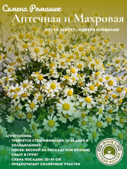 Набор семян Ромашек, 2 упаковки