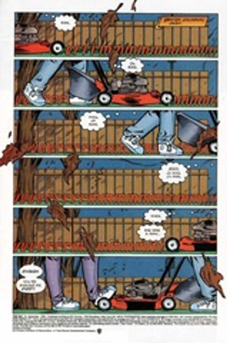 The Ray (1994) #19