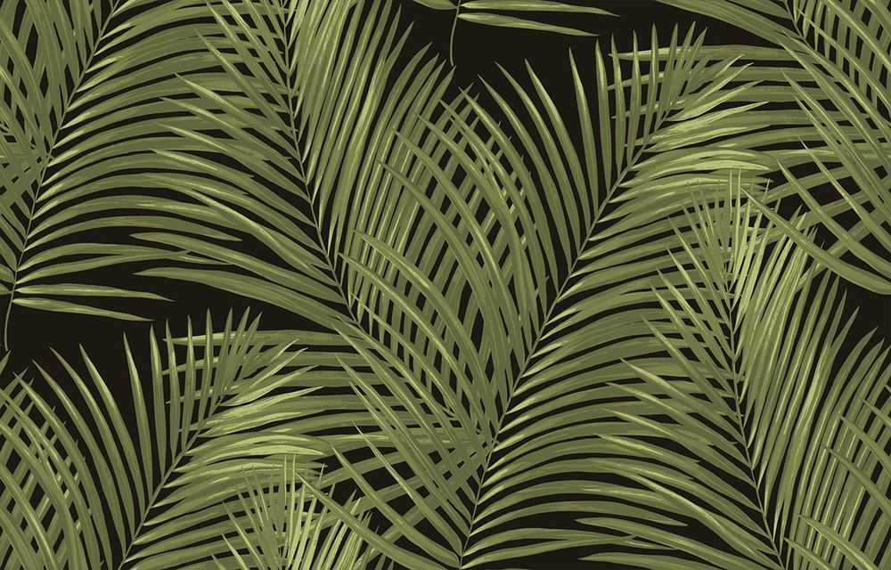Amazonia / Амазония