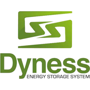 Dyness Аккумуляторы LiFePO4