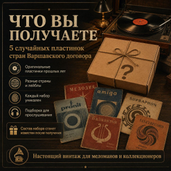 Набор 5 Винтажных Виниловых Пластинок Стран Варшавского Договора ("Демокараты") Случайная Подборка
