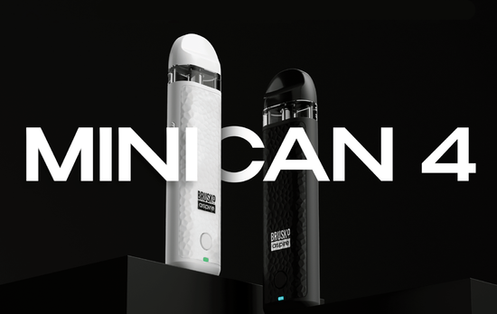 Обзор Brusko Minican 4