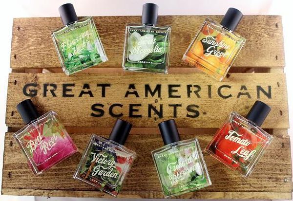 Great American Scents Tomato Leaf