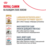 Royal Canin Labrador Retriever Puppy Лабрадор Ретривер Паппи Корм сухой для щенков породы Лабрадор Ретривер до 15 месяцев 12кг