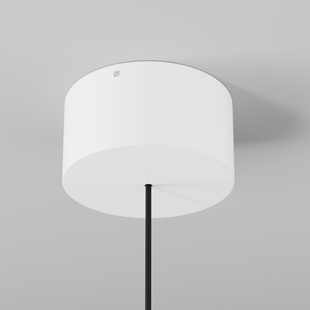 Уличный подвесной светильник Outdoor O491PL-L6W3K