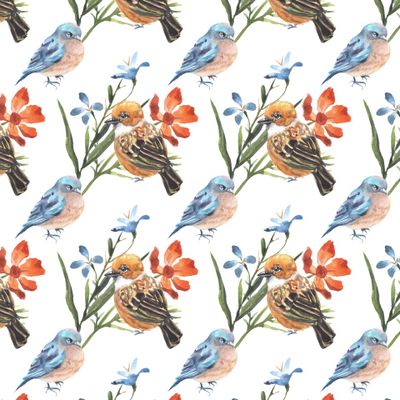BIRDS