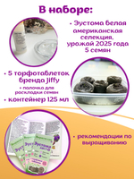 Семена Эустома высокорослая многолетняя Белая, Лизиантус комнатный + торфяные таблетки Jiffy в подарок, 5шт