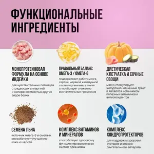 Консервы BOWL WOW для взрослых собак всех пород с индейкой и тыквой