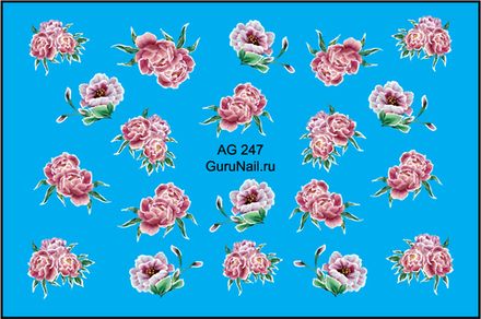 Gurunail Слайдер-дизайн аэрография 247 Пионы