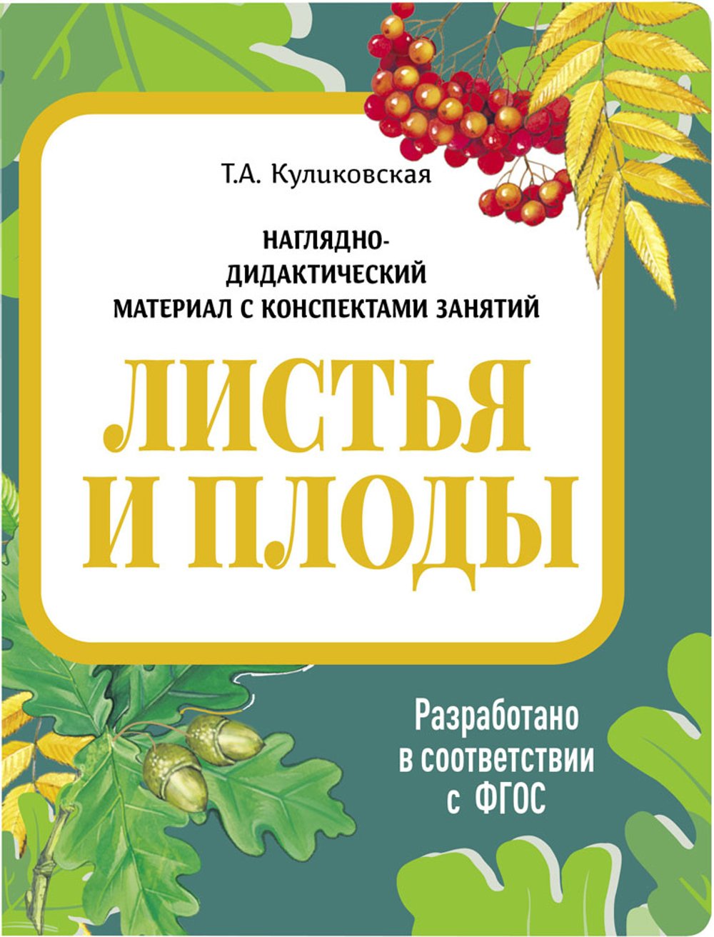 Наглядно-дидактический  материал в папках ФГОС с конспектом занятий