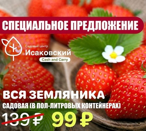 Выгода до 50% Выгода до 50%