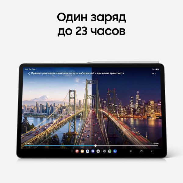 Планшет Samsung Galaxy Tab S12+ 12/512 ГБ Wi-Fi (SM-X840) Серый | Gray