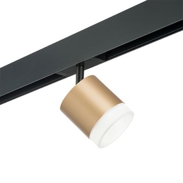 Комплект со светильником 1*GХ53 220V PRO349080 золото/белый Rullo Pro Lightstar