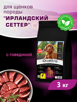 Корм сухой для щенков породы Ирландский сеттер, с говядиной, 3 кг, QUATTRO