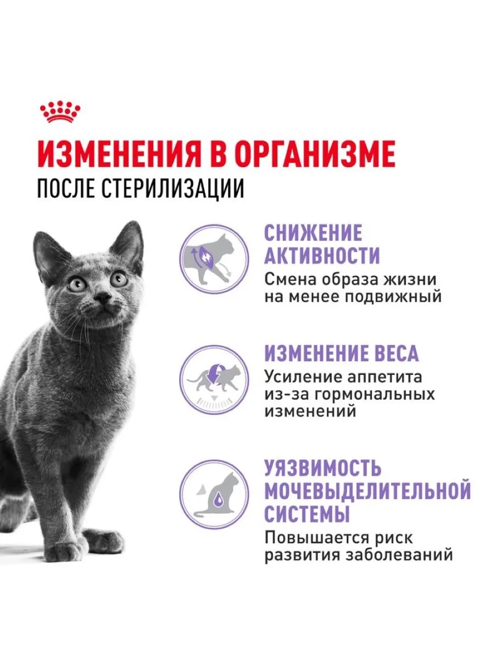 Sterilised 37 Корм для кошек 2кг