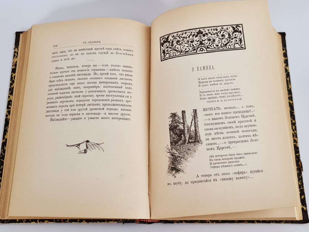 "Из зеленого царства. Популярные очерки из мира растений". Д.Н.Кайгородов. 1902г.