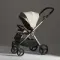 Коляска ANEX iQ Premium 2 в 1 Soya