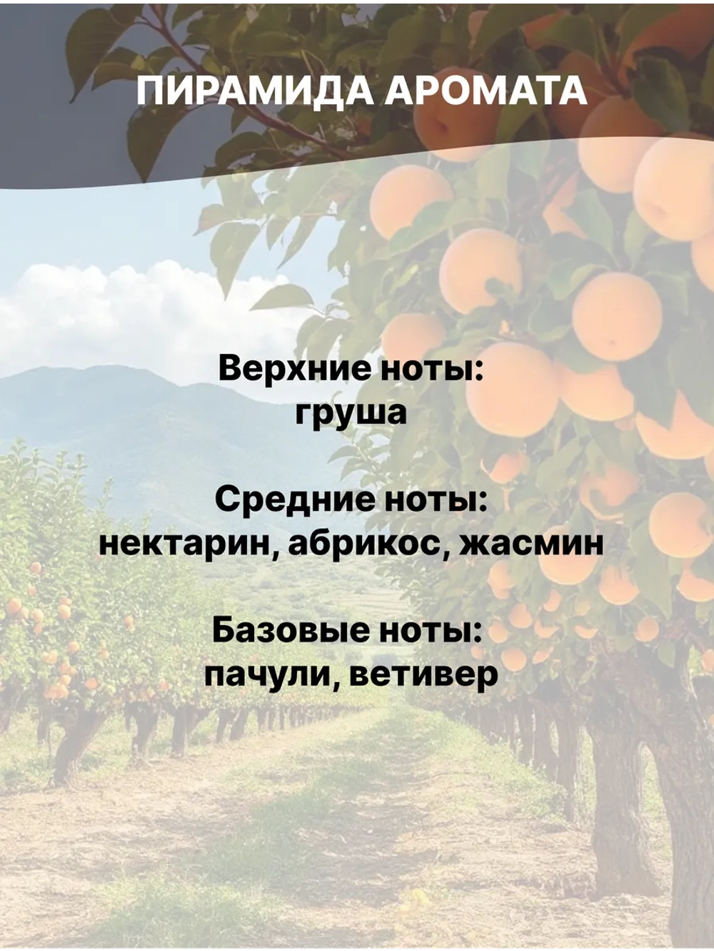 Отдушка Абрикосовая роща 50 гр