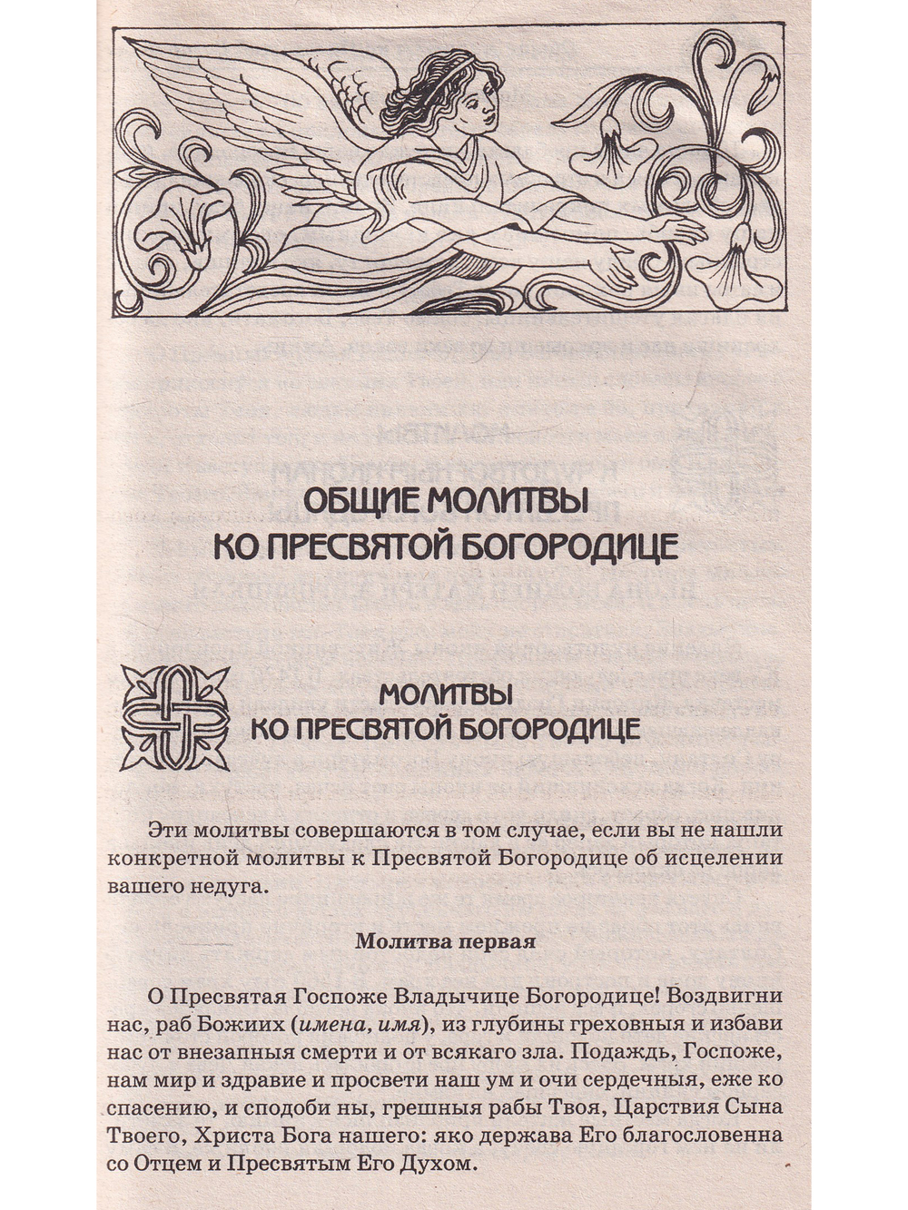 Молитвенный Щит Пресвятой Богородицы