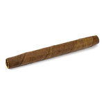 Bell Rock Mini Cherry