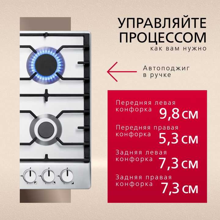 Газовая панель Hansa BHGI610391