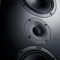 Canton Atelier 11 In Wall Black Matt