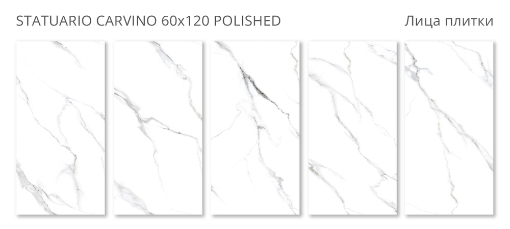 STATUARIO CARVINO 60x120 POLISHED