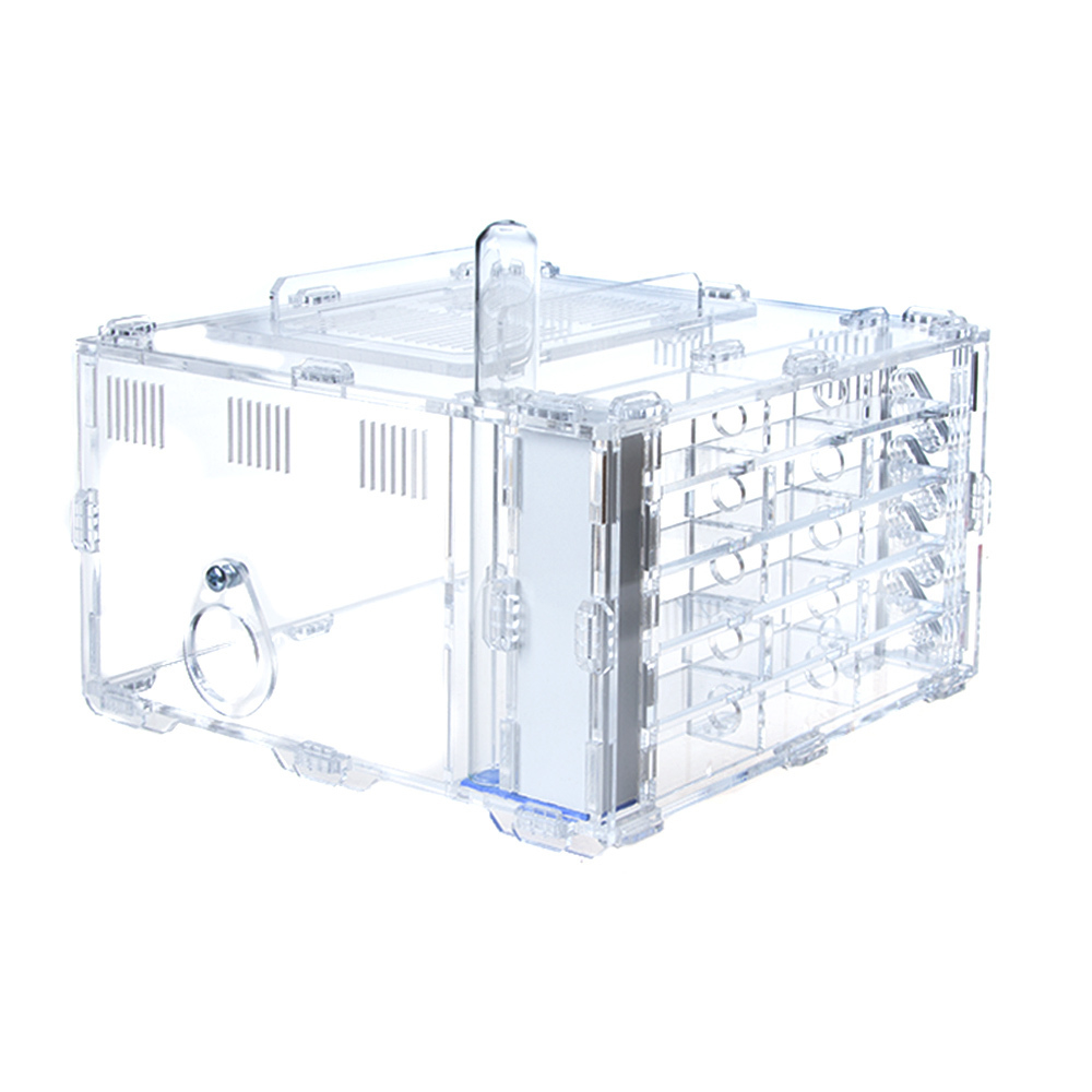 Crystal L 3.0