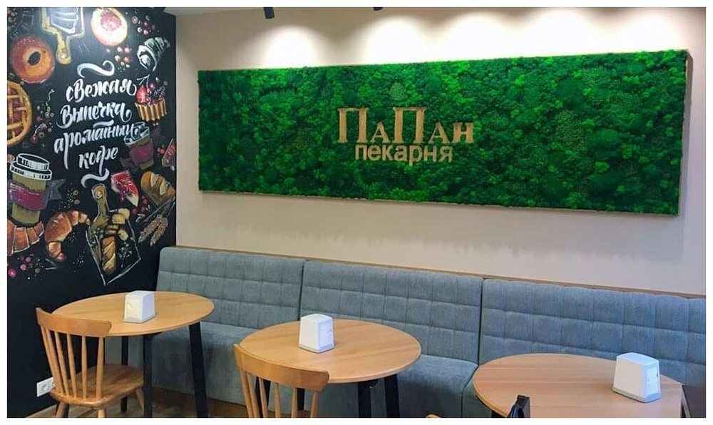 Панно из стабилизированного мха Ягель. Цвет изумруд, натуральный, зелёная трава