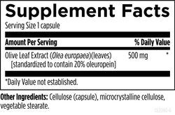 Olive Leaf Extract