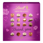 Шоколадные конфеты ассорти Lindt Mini Pralines Thank you 100 г (из Финляндии)