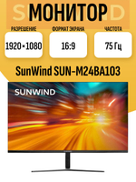 Монитор 24 дюйма SunWind SUN-M24BA103