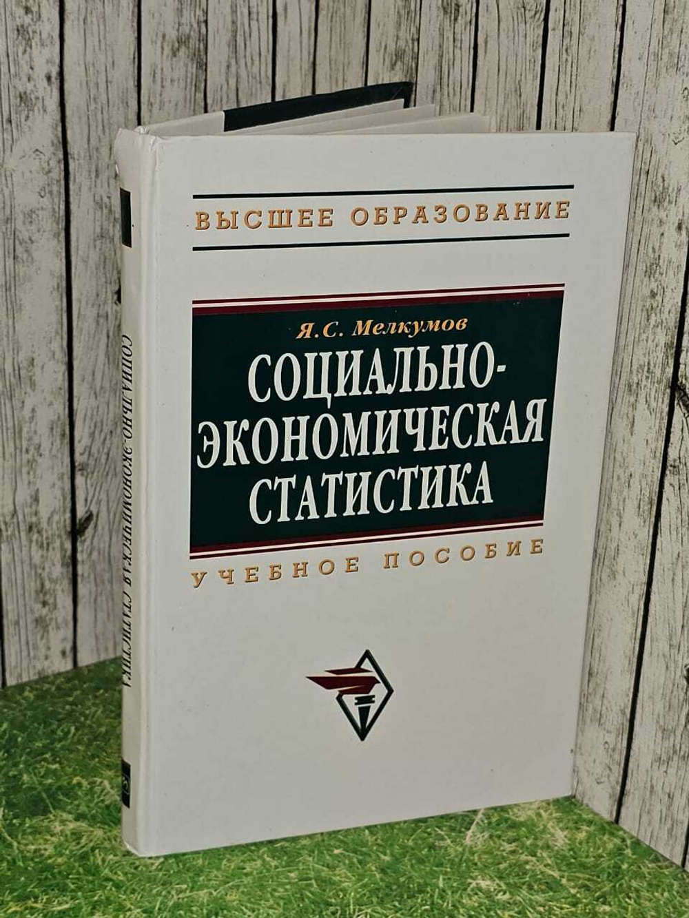 Социально-экономическая статистика. Учебное пособие