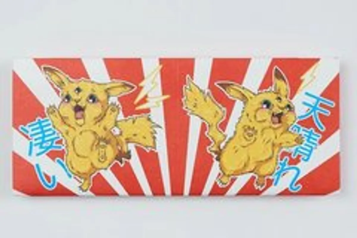 Экологичный бумажник New Pika