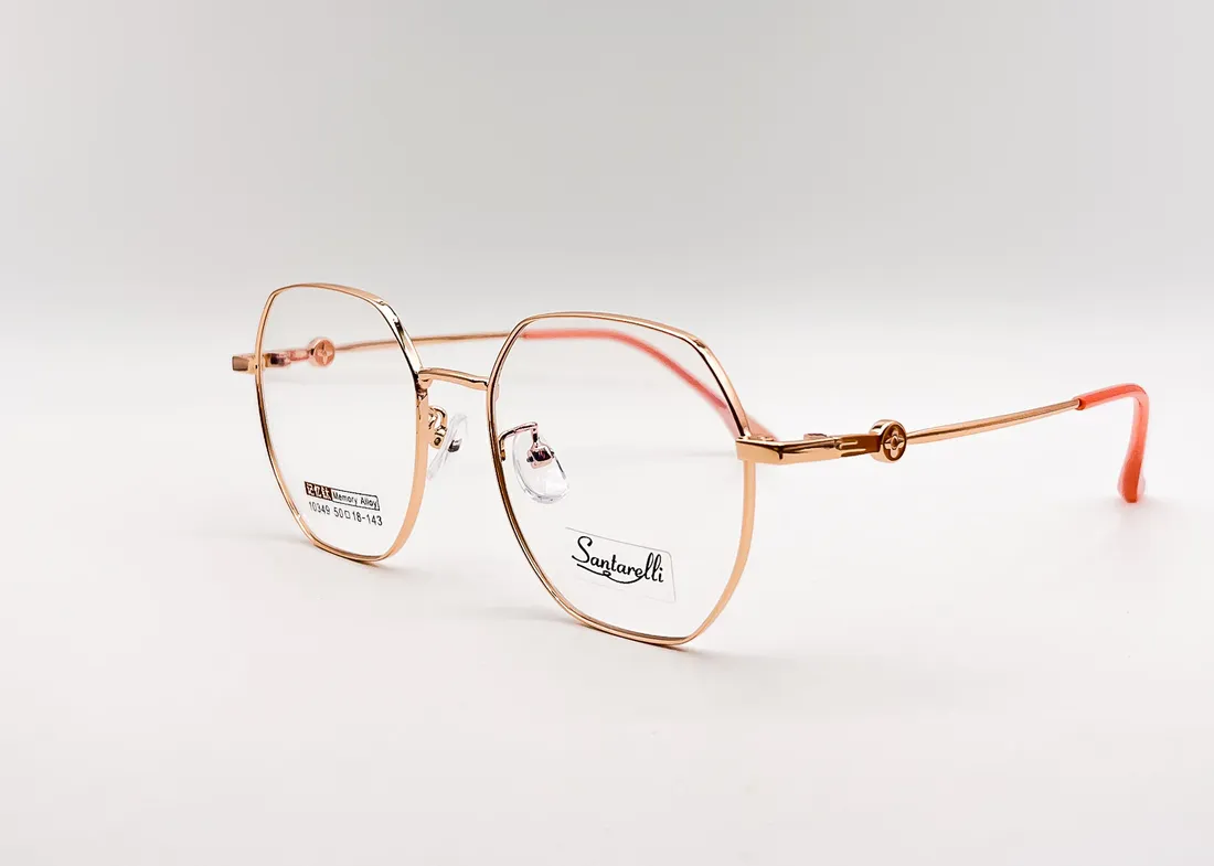 Изг. оправы Santarelli 10349 C1 — кадр 2