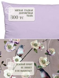 Пение птиц и мягкий оттенок фиолетового цвета