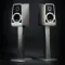 Wilson Audio Tune Tot Carbon