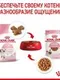 Влажный корм RC Kitten Instinctive для котят, в соусе, пауч, 85 г